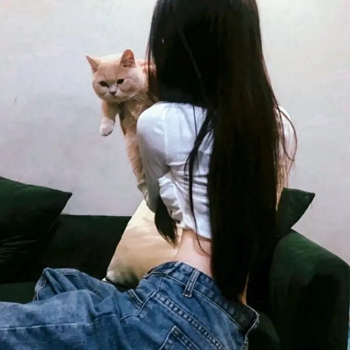 眼镜蛇第一季